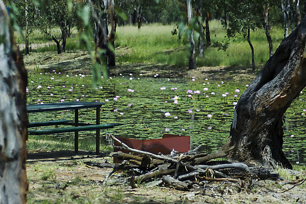 포토 JPG 해외이미지 요리 사람없음 야외 금속 연못 개울 장작 캠핑장 해외포토 재질 강 캠핑 파일형식 이미지허브