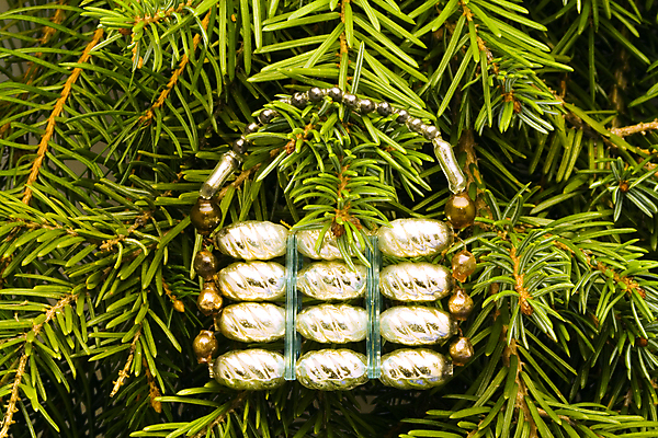 포토 JPG 해외이미지 나무 계절 행복 크리스마스 겨울 공 응원 유리 휴가 새해 기념 매달리기 사랑 사람없음 장식 빛 평화 골동품 나뭇가지 원형 역사 12월 여의주 옛날 해외포토 도형 식물 기념일 감정 컨셉 모션 재질 날짜 파일형식 이미지허브