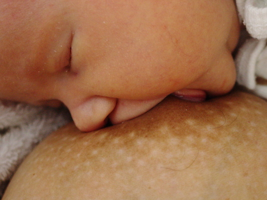 포토 JPG 해외이미지 음료 어린이 사람없음 우유 아기 잠 빨다 가슴 궤 해외포토 모션 유제품 사람 신체부위 파일형식 이미지허브