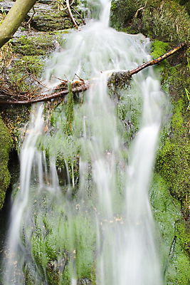 포토 JPG 해외이미지 나무 자연 산 이끼 사람없음 초록색 물 강 달리기 봄 흐름 나뭇가지 개울 붓기 해외포토 자연요소 식물 계절 컬러 컨셉 모션 생태계 파일형식 이미지허브