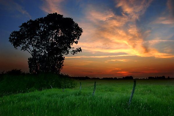 포토 JPG 해외이미지 나무 구름 해외풍경 자연 하늘 초원 사람없음 야외 일몰 봄 야간 폴란드 해외포토 자연요소 식물 해외 계절 유럽 풍경 노을 생태계 파일형식 이미지허브