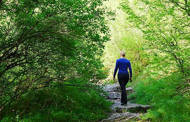 포토 JPG 해외이미지 나무 1 라이프스타일 계절 공원 여자 행복 도로 길 스포츠 여행 잎 자연 휴가 건강 한명 사람 야외 초록색 뷰티 여행객 봄 산책 하이킹 숲 언덕 싱글 오르기 내추럴 방법 해외포토 식물 공공시설 감정 컬러 교통시설 모션 레저 휴식 생활 생태계 파일형식 이미지허브
