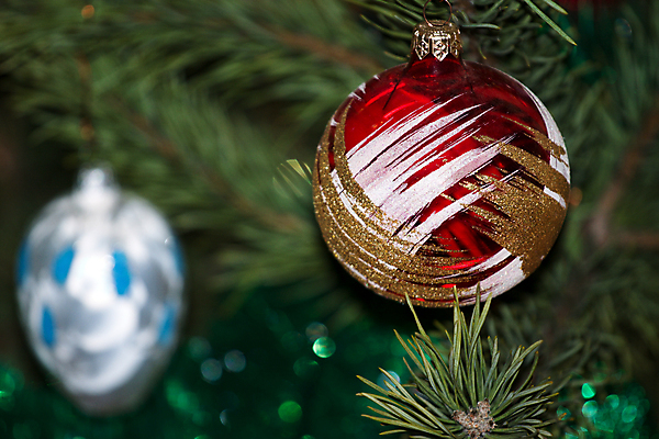 포토 JPG 해외이미지 나무 전통 디자인 계절 문화 백그라운드 크리스마스 겨울 패턴 공 유리 휴가 주택 매달리기 사람없음 장식 빨간색 초록색 크리스마스트리 반사 파티 나뭇가지 축하 소나무 황금 저녁 12월 구슬 심볼 여의주 해외포토 식물 기념일 컬러 컨셉 무늬 모션 재질 이벤트 건물 날짜 야간 파일형식 이미지허브