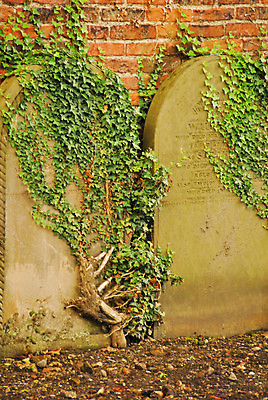 포토 JPG 해외이미지 사람없음 슬픔 시간 묘사 통과 해외포토 감정 파일형식 이미지허브