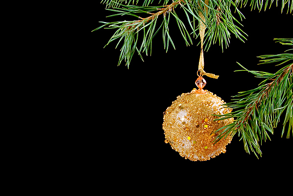 포토 JPG 해외이미지 나무 전통 문화 크리스마스 겨울 휴가 매달리기 선물 미술 사람없음 장식 초록색 쇼핑 검은색 어둠 활발 축하 소나무 전나무 가문비나무 해외포토 식물 계절 기념일 컬러 컨셉 모션 문화예술 파일형식 이미지허브