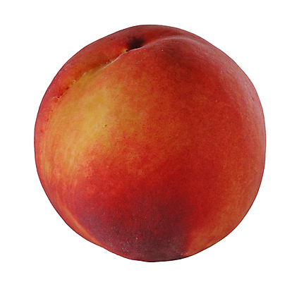 포토 JPG 해외이미지 음식 백그라운드 농업 다이어트 오렌지 자연 건강 사람없음 빨간색 노란색 흰색 신선 원형 시장 달콤 아침식사 먹기 오브젝트 싱글 상쾌 유기농 날것 복숭아 내추럴 고립 살구 숙성 식용 채식주의자 맛있는 해외포토 도형 웰빙 감정 산업 컬러 과일 모션 식사 맛 생태계 채식 파일형식 이미지허브