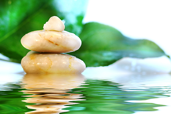 포토 JPG 해외이미지 선 컨셉 잎 자연 실내 동양인 사람없음 내부 가로 초록색 쌓기 스파 침묵 닫기 매끈함 심볼 명상 내추럴 평형 해외포토 식물 컬러 모션 인종 수영 소리 감각 생태계 파일형식 이미지허브