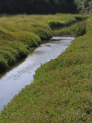 포토 JPG 해외이미지 사람없음 강 프랑스 개울 해외포토 유럽 파일형식 이미지허브