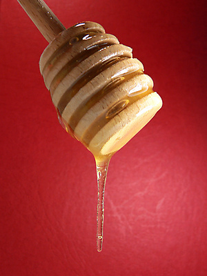 포토 JPG 해외이미지 음식 백그라운드 건강 사람없음 빨간색 달콤 맛 벌 꿀 내추럴 해외포토 컬러 곤충 컨셉 파일형식 이미지허브