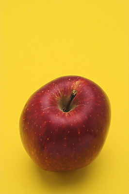 포토 JPG 해외이미지 과일 실내 사람없음 한개 사과 노란배경 해외포토 1 백그라운드 내부 노란색 파일형식 이미지허브