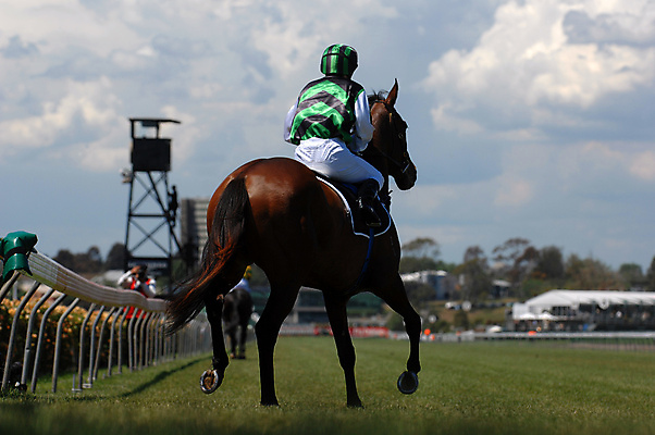 포토 JPG 해외이미지 스포츠 사람없음 뒷모습 경쟁 레이싱 승마 위험 시작 선로 해외포토 뷰포인트 컨셉 시합 파일형식 이미지허브