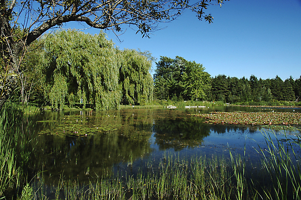 포토 JPG 해외이미지 나무 지구 호수 여행 자연 하늘 휴가 파노라마 사람없음 야외 초록색 물 파란색 컬러풀 반사 환경 황무지 숲 버드나무 내추럴 생태학 웅장함 해외포토 자연요소 식물 교육 컬러 촬영기법 생태계 파일형식 이미지허브