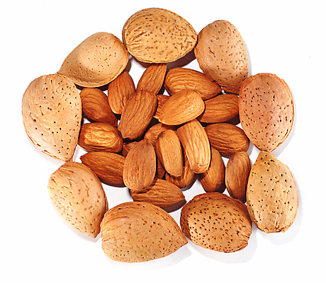 포토 JPG 해외이미지 모양 계절 음식 백그라운드 다이어트 디저트 프레임 건강 사람없음 파티 쌓기 견과류 껍질 원형 시장 맛 혼합 수집 먹기 아몬드 고립 구성 맛있는 해외포토 도형 컨셉 모션 이벤트 파일형식 이미지허브