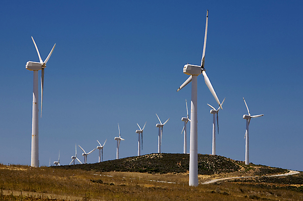 포토 JPG 해외이미지 산업 밭 자연 하늘 바람 날씨 사람없음 초록색 파란색 태양 농장 환경 힘 봄 재활용 장비 풍차 발전기 에너지 그룹 칼날 변화 선택 보호 불기 오브젝트 프로펠러 연료 개성 세대 혁명 개발 되감기 줄서기 효율 공급 해외포토 자연요소 계절 컬러 컨셉 농업 모션 발전소 친환경 생태계 파일형식 이미지허브