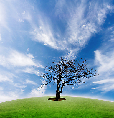 포토 JPG 해외이미지 나무 구름 지구 백그라운드 컨셉 농업 자연 하늘 아이디어 미술 풍경 사람없음 야외 초록색 파란색 시골 구멍 숲 정사각형 문제 땅바닥 혼자 해외포토 자연요소 도형 식물 산업 컬러 문화예술 바닥 생태계 파일형식 이미지허브