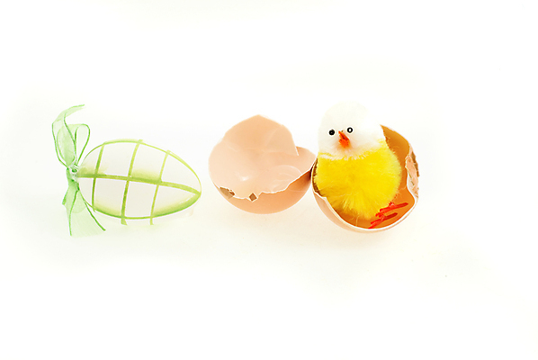 포토 JPG 해외이미지 부활절 사람없음 초록색 노란색 계란 치킨 부화 해외포토 기념일 컬러 알 닭고기요리 파일형식 이미지허브