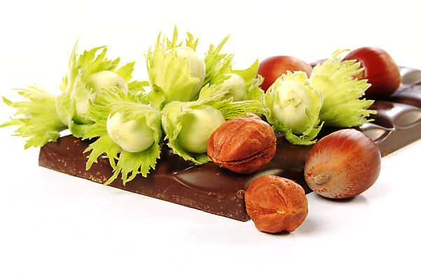 포토 JPG 해외이미지 모양 식물 라이프스타일 음식 조각 백그라운드 낙엽 채소 재료 부분 추상 디저트 건강 사랑 사람없음 갈색 초콜릿 어둠 블록 견과류 흰색 바 고급 달콤 아침식사 유혹 자르기 먹기 큐브 상쾌 정사각형 중독 흙더미 개암나무 핵심 솔깃 맛있는 해외포토 도형 나무 감정 컬러 컨셉 잎 무늬 모션 생활 식사 흙 맛 파일형식 더미 이미지허브