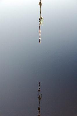 포토 JPG 해외이미지 밧줄 바다 사람없음 물 파란색 부드러움 해외포토 자연요소 줄 컬러 감각 파일형식 이미지허브