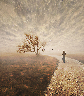 포토 JPG 해외이미지 나무 실루엣 종교 문화 도로 밧줄 컨셉 겨울 조류 미술 풍경 사람없음 책 디지털 검은색 텔레비전 덮개 가을 사회 고독 드라마 옛날 해외포토 식물 동물 계절 감정 길 줄 컬러 교통시설 문화예술 촬영기법 전자제품 뚜껑 공동체 파일형식 이미지허브