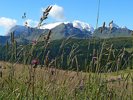 포토 JPG 해외이미지 나무 구름 여행 포유류 자연 하늘 산 풍경 사람없음 야외 초록색 파란색 자전거 추위 숲 언덕 바이킹 해외포토 자연요소 식물 동물 컬러 바이크 생태계 파일형식 이미지허브