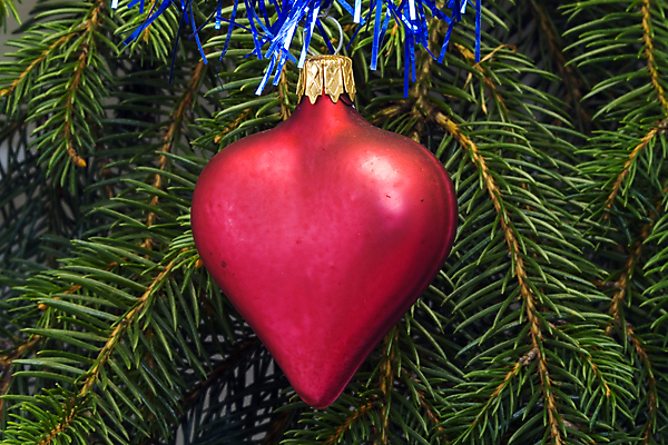 포토 JPG 해외이미지 나무 계절 행복 크리스마스 겨울 공 응원 유리 휴가 새해 기념 매달리기 사랑 사람없음 장식 빛 평화 나뭇가지 원형 12월 여의주 해외포토 도형 식물 기념일 감정 컨셉 모션 재질 날짜 파일형식 이미지허브