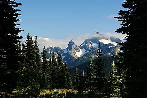 포토 JPG 해외이미지 나무 지구 자연 하늘 산 사람없음 파란색 소나무 숲 내추럴 해외포토 식물 컬러 생태계 파일형식 이미지허브