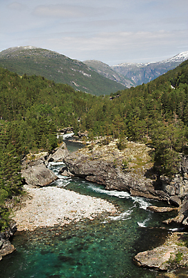 포토 JPG 해외이미지 나무 잎 자연 산 이끼 사람없음 야외 초록색 물 강 달리기 골짜기 맑음 봄 폭포 흐름 추위 신선 거친 개울 황무지 떨어짐 소프트포커스 숲 속도 걱정 내추럴 양치류 현재 해외포토 자연요소 식물 계절 감정 컬러 컨셉 모션 날씨 촬영기법 생태계 파일형식 이미지허브