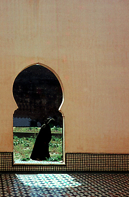 포토 JPG 해외이미지 아프리카 사람없음 건물 정원 알제리 해외포토 건축물 나라 파일형식 이미지허브