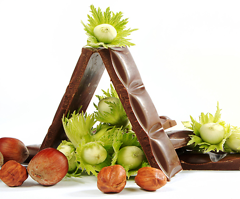 포토 JPG 해외이미지 모양 식물 라이프스타일 음식 조각 백그라운드 낙엽 채소 재료 부분 추상 디저트 건강 사랑 사람없음 갈색 초콜릿 어둠 블록 견과류 흰색 바 고급 달콤 아침식사 유혹 자르기 먹기 큐브 상쾌 정사각형 중독 흙더미 개암나무 핵심 솔깃 맛있는 해외포토 도형 나무 감정 컬러 컨셉 잎 무늬 모션 생활 식사 흙 맛 파일형식 더미 이미지허브