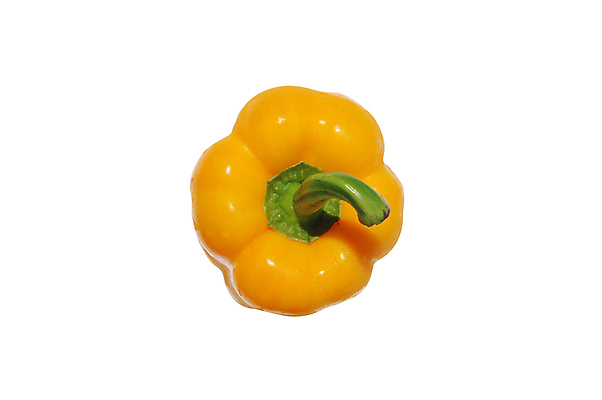 포토 JPG 해외이미지 클리핑패스 음식 농업 다이어트 채소 재료 고추 파프리카 건강 요리 사람없음 샐러드 신선 향신료 흰배경 날것 후추 고립 이국적 페퍼로니 해외포토 산업 백그라운드 흰색 소시지 향미료 파일형식 이미지허브