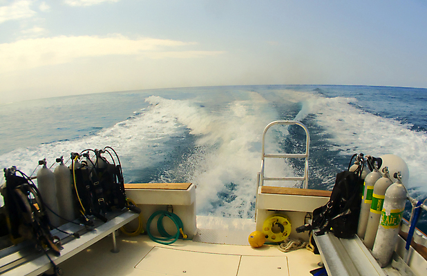 포토 JPG 해외이미지 모래 스포츠 바다 휴가 어류 사람없음 물 파란색 수중 오픈 보트 산호 암초 스펀지 해외포토 자연요소 컬러 배_교통 수중동물 자포동물 파일형식 이미지허브