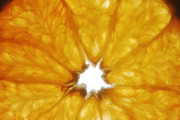 포토 JPG 해외이미지 음식 조각 백그라운드 오렌지 과일 재료 부분 자연 귤 건강 사람없음 노란색 주스 흰색 달콤 맛 자르기 먹기 질감 날것 고립 숙성 신맛 해외포토 음료 컬러 컨셉 모션 생태계 파일형식 이미지허브