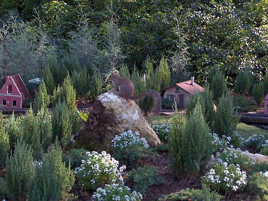 포토 JPG 해외이미지 나무 동물 자연 주택 사람없음 회색 작음 수집 다람쥐 조경 거인 해외포토 식물 컬러 건물 설치류 크기 생태계 파일형식 이미지허브