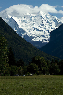 포토 JPG 해외이미지 나무 템플릿 백그라운드 자연 산 사람없음 세로 초록색 파란색 뷰티 얼음 어둠 봄 벚꽃 흰색 매끈함 스위스 순수 환경보전 산봉우리 천진난만 완전 부족함 산맥 해외포토 자연요소 식물 계절 꽃 유럽 컬러 컨셉 감각 사회이슈 생태계 봉우리 파일형식 이미지허브