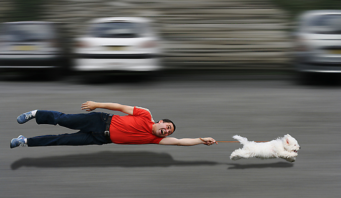 포토 JPG 해외이미지 동물 백인 교육 남자 행복 스포츠 컨셉 모션 놀이 아이디어 건강 한명 미소 성인 반려동물 달리기 운동 산책 기쁨 흰색 청바지 유머 개 강아지 배고픔 속도 서식 주인 송곳니 복종 해외포토 서양인 1 감정 컬러 바지 포유류 휴식 표정 사람 치아 파일형식 이미지허브