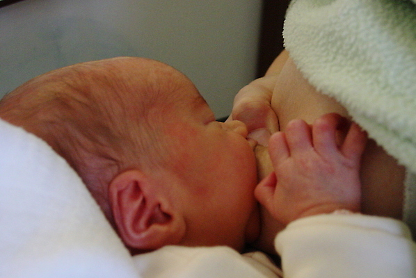 포토 JPG 해외이미지 아들 음료 어린이 엄마 사람없음 우유 신생아 빨다 가슴 배고픔 궤 해외포토 가족 모션 유제품 사람 신체부위 아기 파일형식 이미지허브