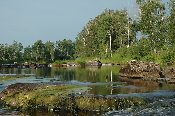 포토 JPG 해외이미지 나무 식물 공원 이동 잎 자국 자연 이끼 풍경 사람없음 초록색 물 강 뷰티 반사 침묵 폭포 하이킹 젖음 흐름 개울 떨어짐 매끈함 숲 암초 내추럴 양치류 해외포토 자연요소 공공시설 컬러 컨셉 레저 소리 감각 생태계 파일형식 이미지허브