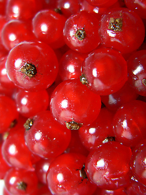 포토 JPG 해외이미지 식물 열매 과일 건강 사람없음 빨간색 질감 해외포토 컬러 파일형식 이미지허브