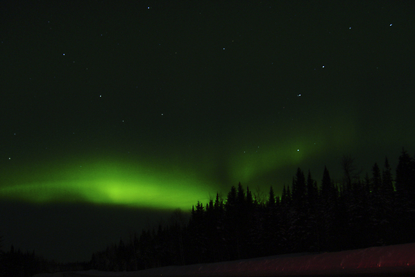 포토 JPG 해외이미지 나무 실루엣 별 크리스마스 자연 하늘 전등 새로움 사람없음 초록색 컬러풀 어둠 추위 소용돌이 분위기 야간 저녁 연도 달빛 천문학 북쪽 오로라 내추럴 해고 현상 해외포토 자연요소 식물 교육 기념일 컬러 컨셉 비즈니스 자연현상 조명 촬영기법 회오리 달 방향 생태계 파일형식 이미지허브