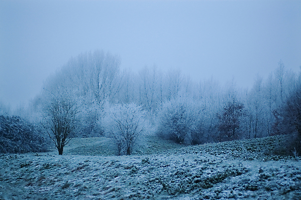 포토 JPG 해외이미지 나무 계절 겨울 자연 풍경 사람없음 야외 초록색 파란색 냉동 얼음 추위 흰색 나뭇가지 숲 12월 언덕 서리 해외포토 자연요소 식물 컬러 날짜 생태계 파일형식 이미지허브