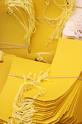 포토 JPG 해외이미지 줄 백그라운드 문구용품 새로움 사람없음 파란색 상자 컬러풀 라벨 사무용품 여러개 보따리 많음 해외포토 컬러 다수 컨셉 프레임 오브젝트 파일형식 이미지허브