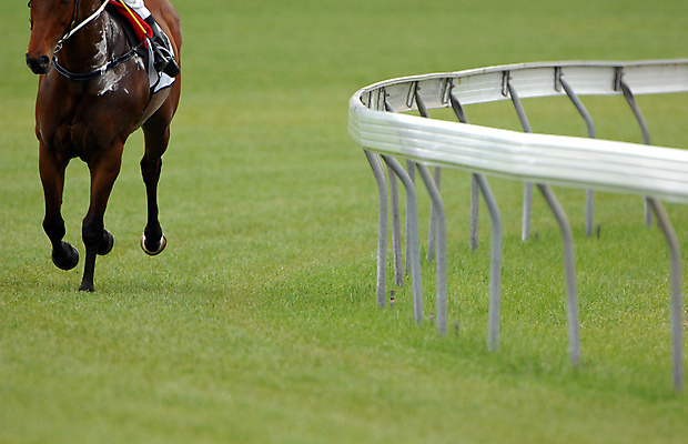 포토 JPG 해외이미지 동물 스포츠 포즈 사람없음 힘 경쟁 레이싱 위험 해외포토 컨셉 시합 파일형식 이미지허브
