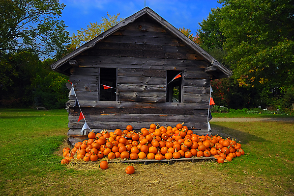 포토 JPG 해외이미지 계절 음식 조각 백그라운드 농업 다이어트 채소 오렌지 장난 부분 하늘 호박 휴가 건강 요리 사람없음 장식 파란색 농장 세일 쌓기 정원 축제 할로윈 수확 가을 대접 시장 큼 오두막 9월 11월 먹기 매움 박 추수감사절 스쿼시 10월 식용 해외포토 산업 기독교 스포츠 컬러 과일 모션 구기 날짜 맛 크기 파일형식 이미지허브