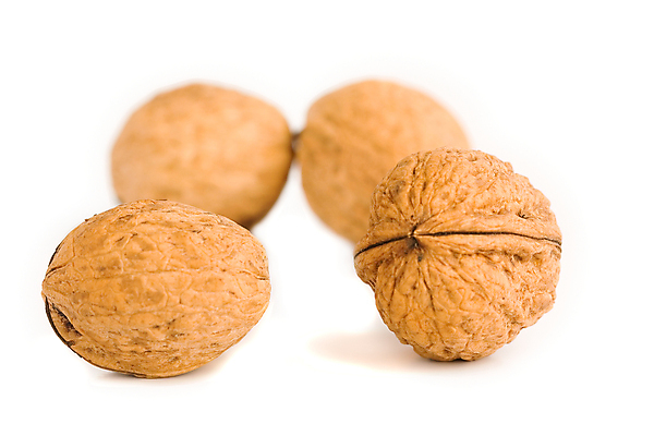 포토 JPG 해외이미지 음식 다이어트 과일 자연 건조 건강 사람없음 갈색 견과류 먹기 호두 비타민 내추럴 고립 단절 신맛 오메가 해외포토 컬러 모션 맛 생태계 영양소 파일형식 이미지허브