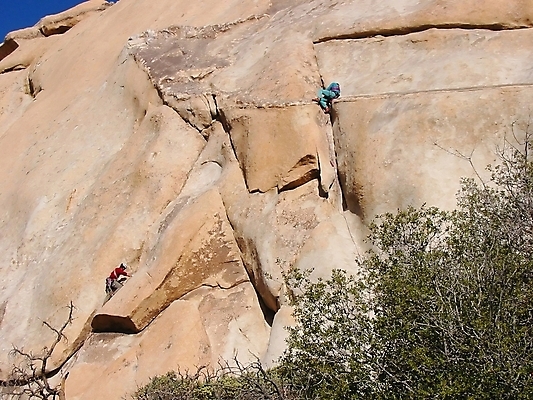 포토 JPG 해외이미지 나무 식물 공원 자연 하늘 선인장 건조 따뜻함 사람없음 야외 사막 붓 뜨거움 황무지 관목 캘리포니아 천연기념물 내추럴 서쪽 전국 해외포토 공공시설 미국 방향 생태계 파일형식 이미지허브
