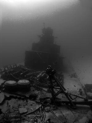 포토 JPG 해외이미지 바다 섬 어류 가면 사람없음 물 파란색 수중 탱크 지느러미 암초 조난 총포 해외포토 자연요소 컬러 수중동물 파일형식 이미지허브