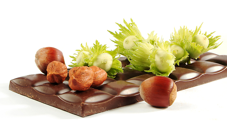 포토 JPG 해외이미지 모양 식물 라이프스타일 음식 조각 백그라운드 낙엽 채소 재료 부분 추상 디저트 건강 사랑 사람없음 갈색 초콜릿 어둠 블록 견과류 흰색 바 고급 달콤 아침식사 유혹 자르기 먹기 큐브 상쾌 정사각형 중독 흙더미 개암나무 핵심 솔깃 맛있는 해외포토 도형 나무 감정 컬러 컨셉 잎 무늬 모션 생활 식사 흙 맛 파일형식 더미 이미지허브