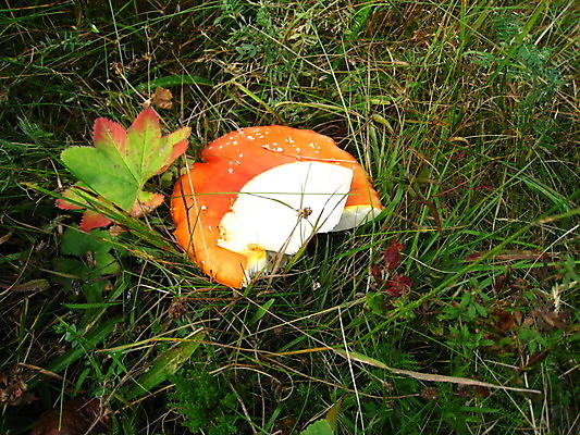 포토 JPG 해외이미지 독일 노르웨이 사람없음 죽음 성 공군 러시아 해군 소련 해외포토 건축물 유럽 군대 파일형식 이미지허브
