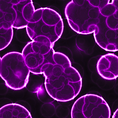 포토 JPG 해외이미지 백그라운드 일러스트 세포 현미경 사람없음 성장 바이러스 생물학 박테리아 해외일러스트 교육 의학 실험기구 파일형식 이미지허브