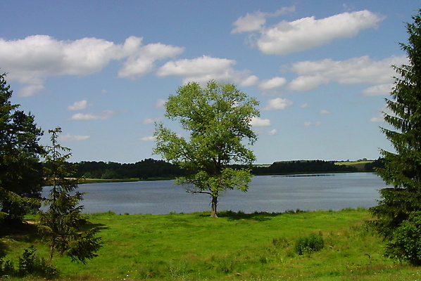 포토 JPG 해외이미지 나무 구름 1 호수 사람없음 초록색 물 여름 파란색 시력 혼자 해외포토 자연요소 식물 계절 컬러 파일형식 이미지허브